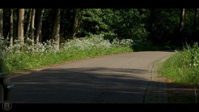 MERCEDES-BENZ 190 SL FIRST SERIES - 1956 | GALLERY AALDERING TV смотреть онлайн