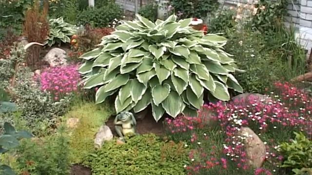 Благоустройство Заволжского района смотреть онлайн