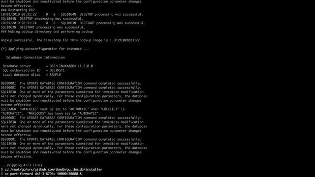 11 - CodeReady Containers - OpenShift 4.1 - Testing IBM DB2 смотреть онлайн
