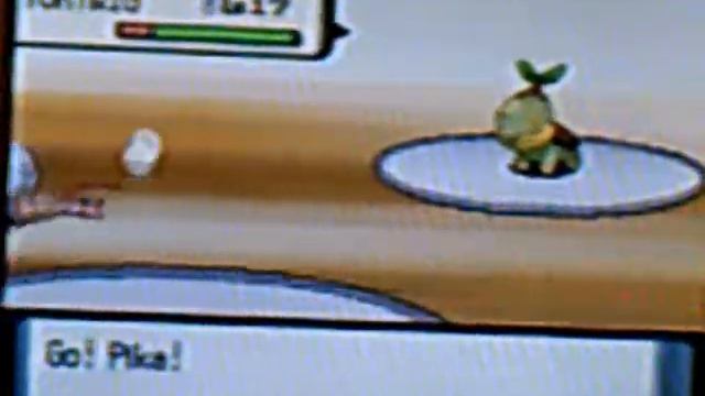 Pikachu Solo 2.6: Eterna Gym, Four Trainers, And Boss 4 (Gardenia)