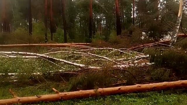 Бирюзовая Катунь. (Горный Алтай) смотреть онлайн