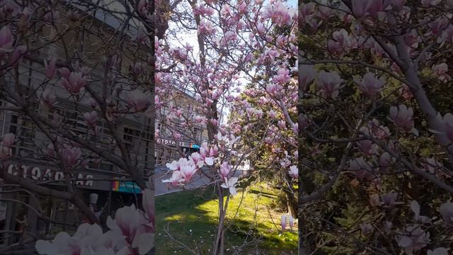 весна смотреть онлайн