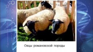 Биология 7 кл Пасечник §57 Домашние млекопитающие