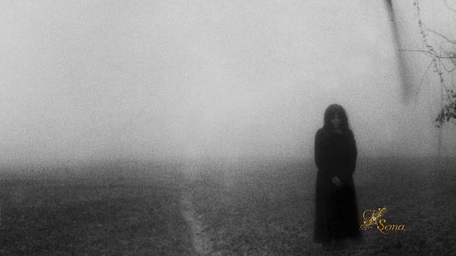 Vitalij Kuprij - Crying In The Shadows смотреть онлайн