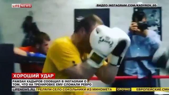 Боец СОБРа сломал ребро Кадырову смотреть онлайн