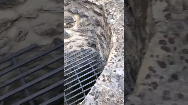 Ingelheim am Rhein die Kaiserpfalz Teil vier смотреть онлайн