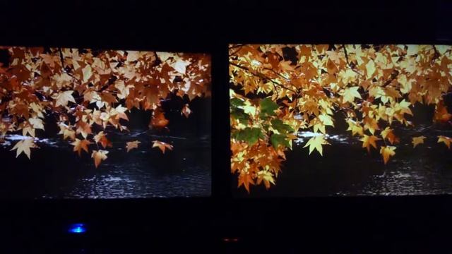 Samsung B2230 vs S24D590 смотреть онлайн