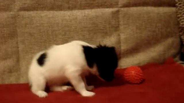 MOV00402 смотреть онлайн