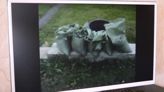 Что такое солод. Виды и типы солодов. Спецсолода.