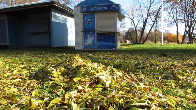 Where's the dog? смотреть онлайн