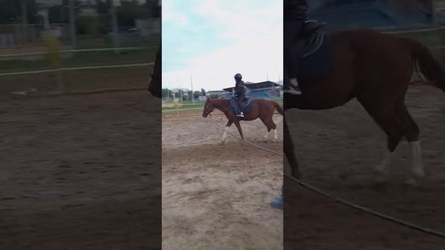 Малькова Настя джигитовка(3) смотреть онлайн