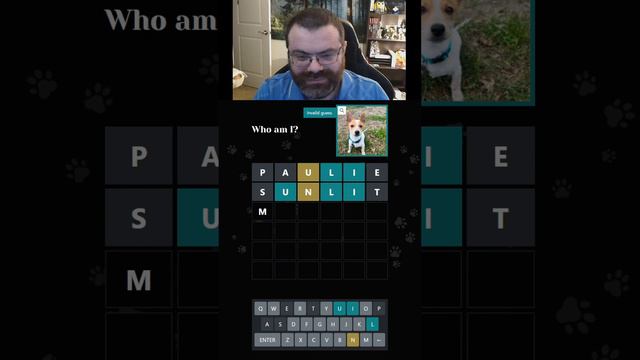 Guess this puppy's name! #adoptle Apr 3, 2023 смотреть онлайн