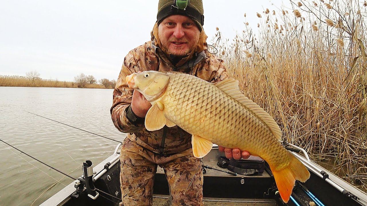 БЕШЕНЫЙ КЛЁВ САЗАНА. Рыбалка на донку и червя. Закидушки. Нашёл где зимует сазан на реке. смотреть онлайн