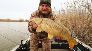БЕШЕНЫЙ КЛЁВ САЗАНА. Рыбалка на донку и червя. Закидушки. Нашёл где зимует сазан на реке.
