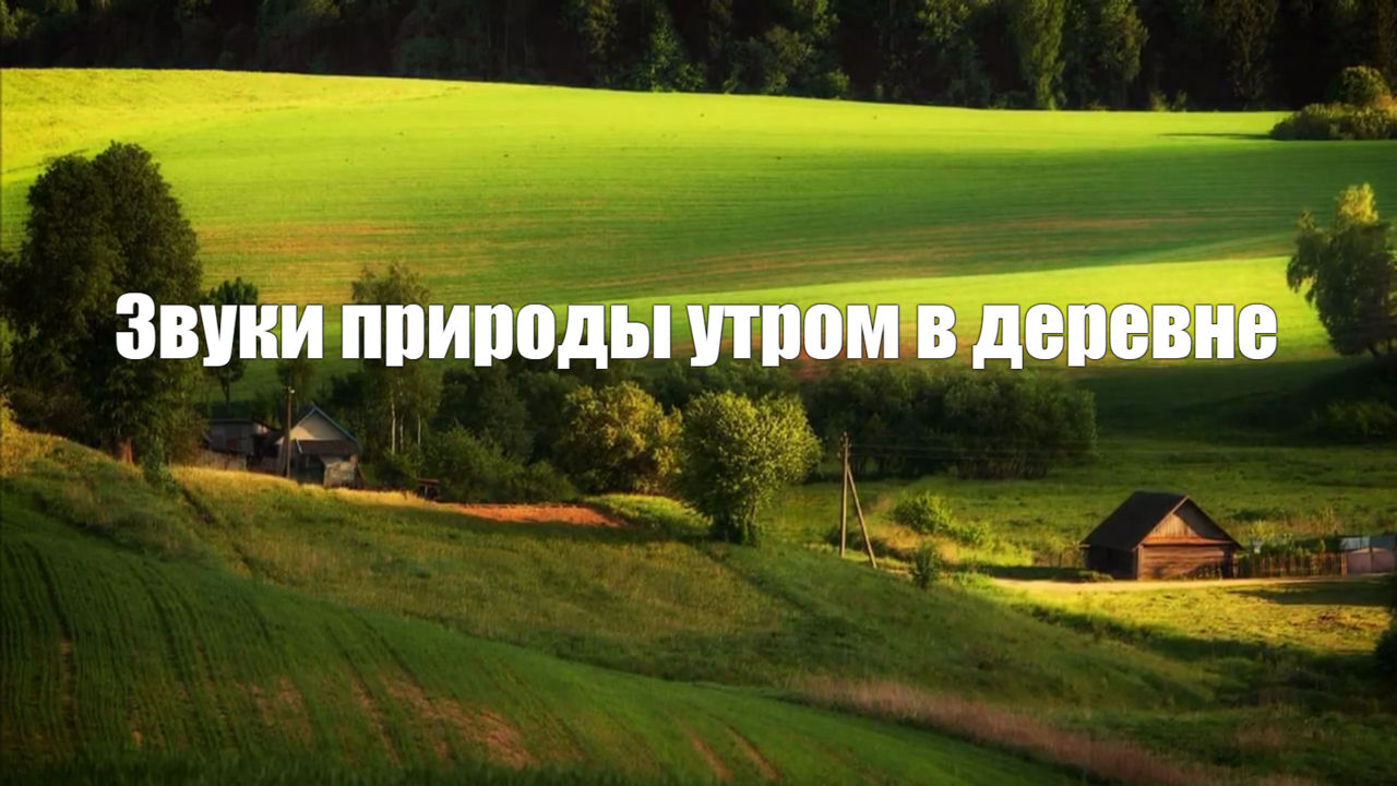 Звуки природы. Утром в деревне