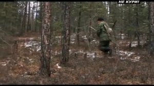 Охота на изюбря в Якутии. Охота на изюбря на реву . - 2021г