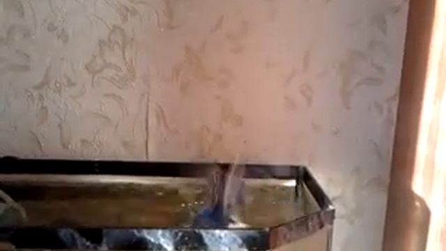 Плавающий попугай смотреть онлайн