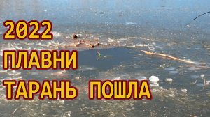 ТАРАНЬ ПОШЛА 2022 /// Рыбалка на Кубани 2022 /// Выпуск № 29