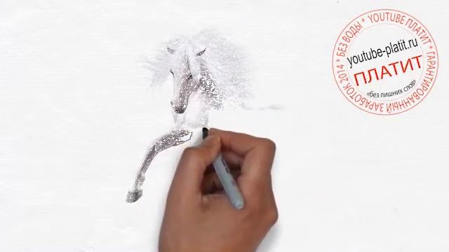 Как просто нарисовать красивую лошадь карандашом смотреть онлайн