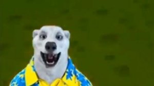 Ходилки Бродилки VS Медведь 2026