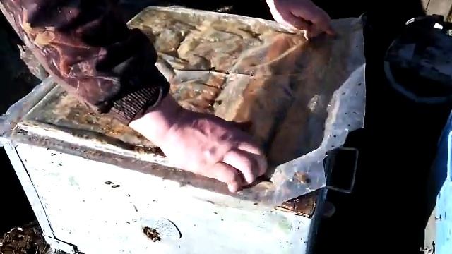 Пополнение кормовых запасов. смотреть онлайн