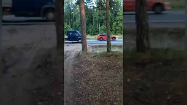 Дорога Петергоф-Большая Ижора -Лебяжье смотреть онлайн