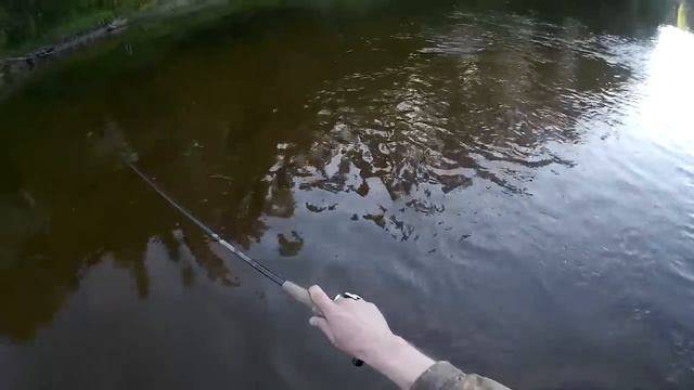 Щара, жерех 2.07.2015 смотреть онлайн
