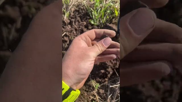 Коп на месте японского дома. Не плохие находки. 1 октября 2023г. смотреть онлайн