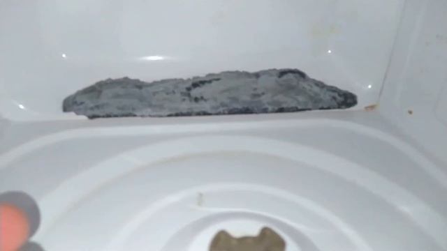 Покраска микроволновки (камеры), прогар, как покрасить свч #микроволновка #прогар #ремонт #покраска смотреть онлайн