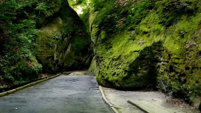 По лесной тропе роднгого края смотреть онлайн