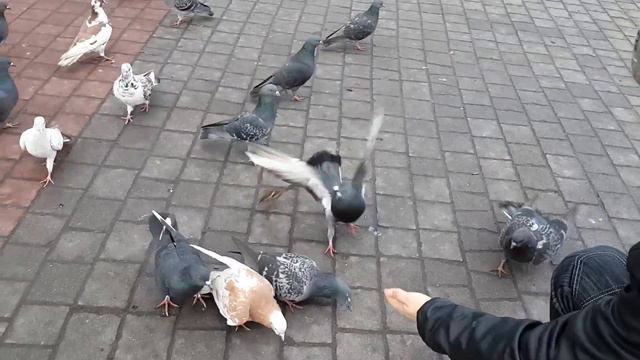 Сделай доброе дело! 1 смотреть онлайн