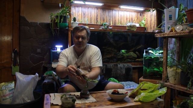 Посадка растений по КУД смотреть онлайн