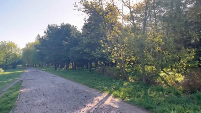 ВЕСЕННИЙ ВЛОГ/МАГИЯ УТРА/КАК ЖИТЬ В НОВОЙ РЕАЛЬНОСТИ смотреть онлайн