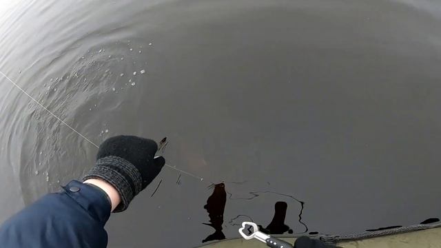 КРУЖКИ В НОЯБРЕ!!! СПИННИНГ!!! Сезон продолжается))!!! смотреть онлайн