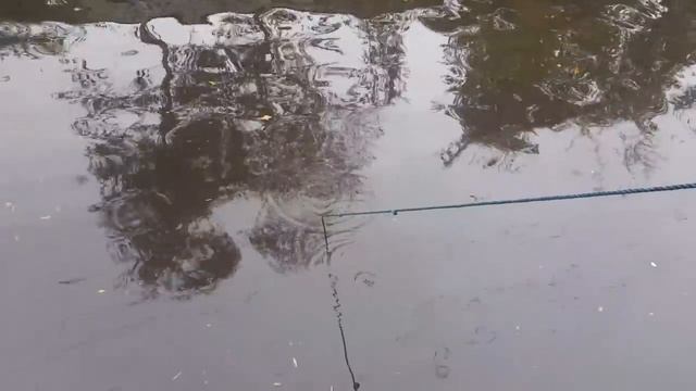 magnet fishing by a train station смотреть онлайн