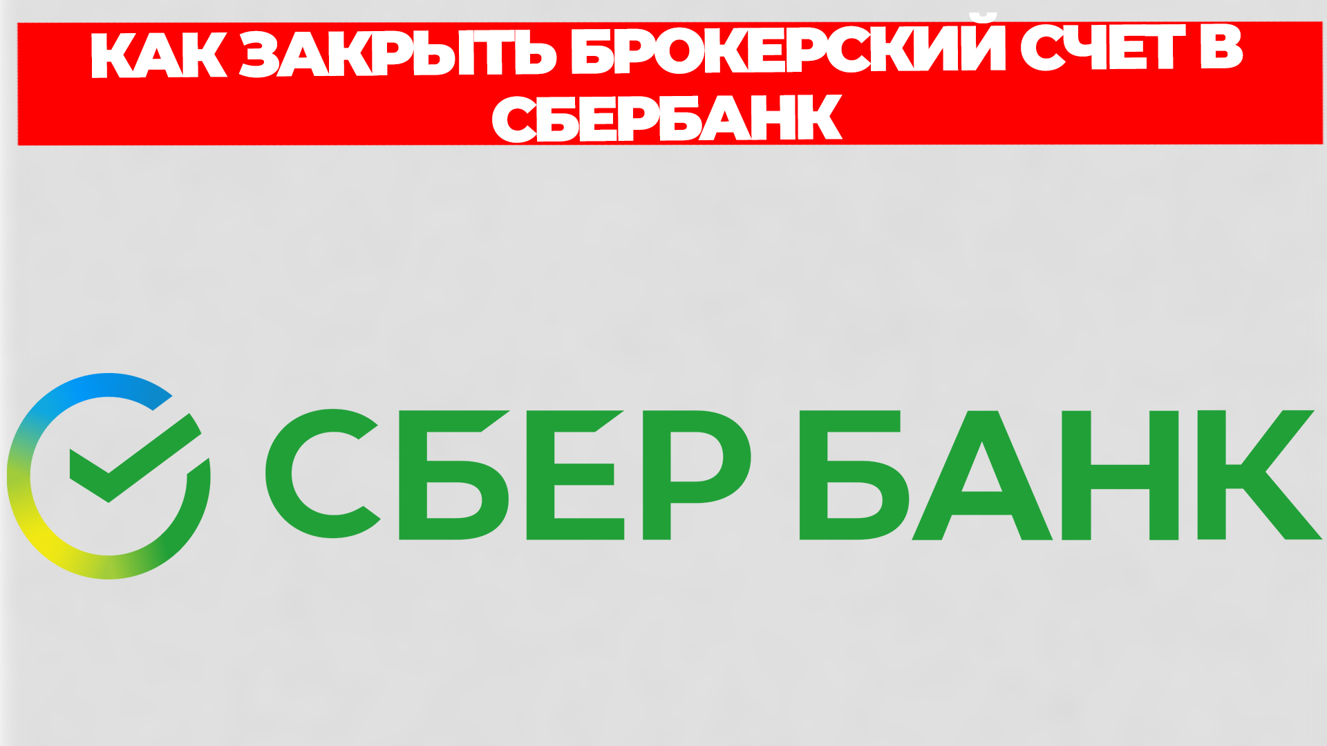 Всезнающий Енот