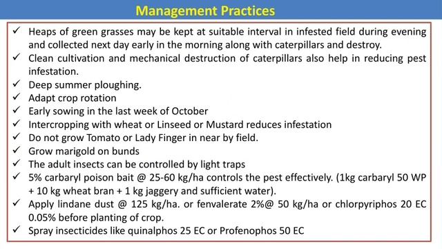 Pest of Minor Pulses and their management смотреть онлайн