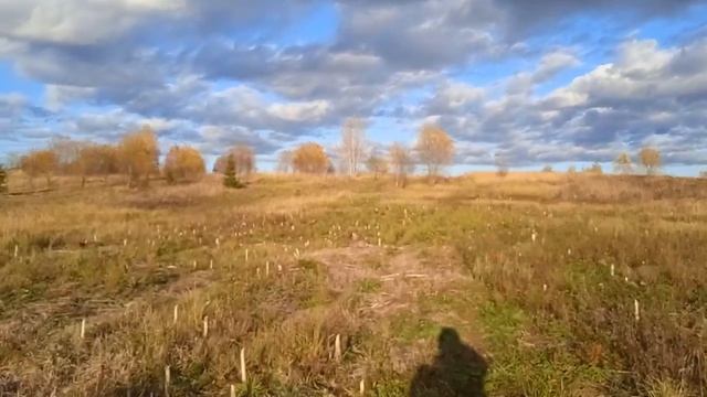 Коп № 110 Находки в обычных местах смотреть онлайн