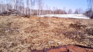 Работа в делянке на двух мтз... Разодрали доброе колесо...