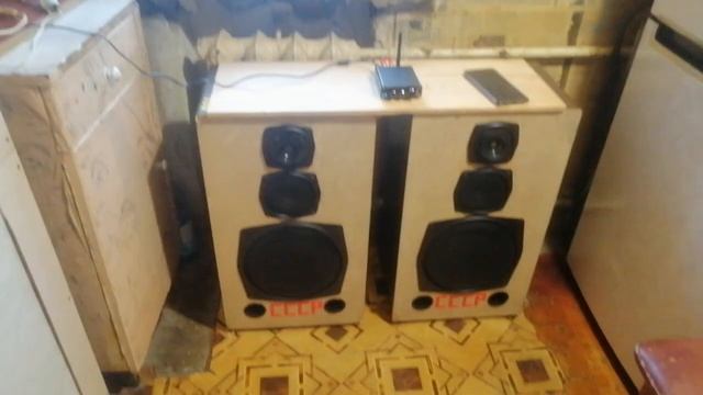 35АС-016 "Орбита" и усилитель Fosi audio bt10a mini 5.0 Amplifier в работе. смотреть онлайн