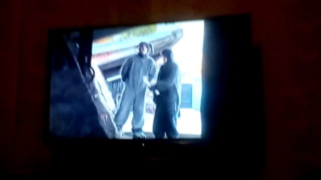 Вот кто такие собаки