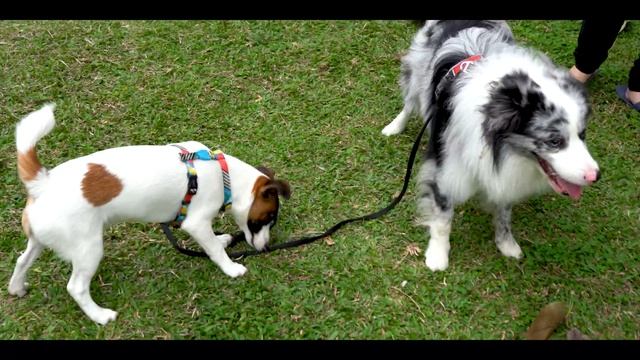 一踏出門口就還到歐弟 先玩一下 смотреть онлайн