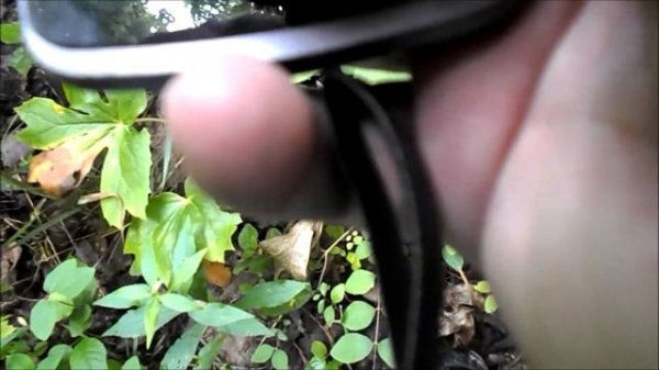 Plantnet  Plant Identification App Review,  Plant ID App Test--Does it Work?