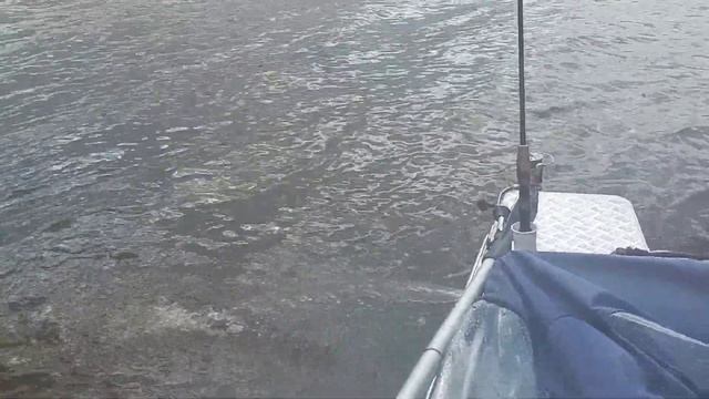 Помпа на Немане 450 DCM PRO смотреть онлайн