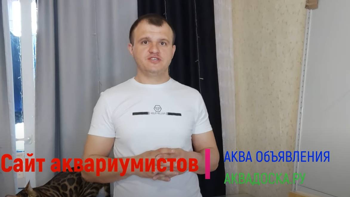 Новый стеллаж для аквариумов с креветками, гуппи и растениями Часть 1 смотреть онлайн