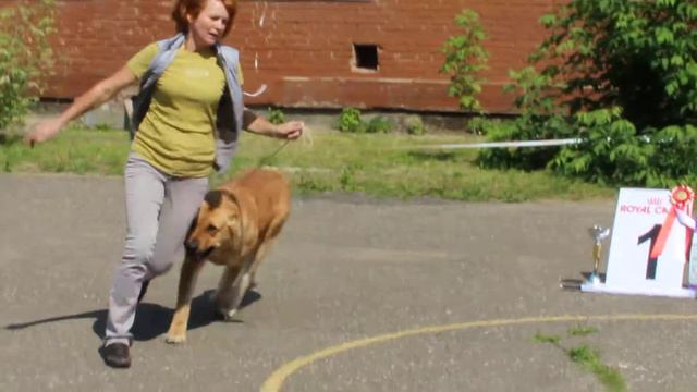 МОНО САО ПК ДМИТРОВ КЛАСС ПОБЕДИТЕЛЕЙ СУКИ, №57 TRIPLE THRUST YARA (1место) смотреть онлайн