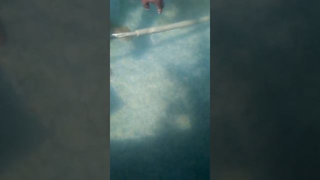 как чистить дно бассейна смотреть онлайн