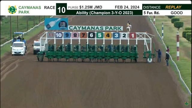 JAMAICA RACING: KP Choice Closes Sat, Feb 24, 2024, At 6-1 смотреть онлайн