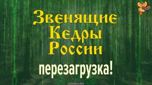 Звенящие Кедры России — перезагрузка!