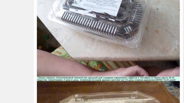 Роза пустыни Адениум obesum Набор РАДУГА ПУСТЫНИ 12 шт смотреть онлайн